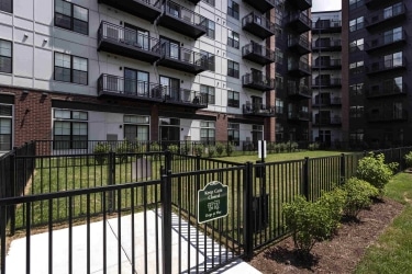the250residences.23